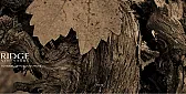 TN: Ridge Monte Bello 1990-2002 in magnum |  Ridge Monte Bello Cabernets 1990-2002 in magnum (1.5 L) bottles.  Tasted at Los...