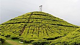 RFDT needs FRF ( frequently repeated fallacies)  |  Damn it... you mean my Syphillis ain't going anywhere?!? That's it,...