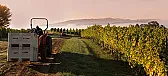 Oregon Pinot |  Willakenzie is another winery we visited and really liked when we were recently...
