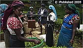 Do see this NYTiimes article and slide show  |  http://www.nytimes.com/2010/01/09/business/global/09tea.html "A Sri Lankan...