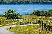 [FAQ] 3i. NY Finger Lakes? |  I am not suggesting any changes. I just thought some might like a bitof the...