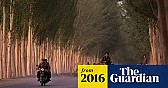 Why the world only has 2 words for tea  |  As seen on:   With a few minor exceptions, there are really only two ways to say...