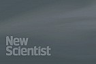 Polyphenols are bad in large quantities | ...