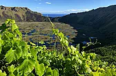 Easter Island  | https://www.decanter.com/wine-news/vineyard-planted-on-easter-island-452805/