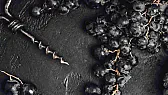 TN: Gewurz from Idaho | &laquo; previous thread