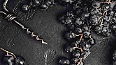 TN: Gewurz from Idaho |  Yes, Idaho! The PA state stores are carrying wine from the state knownfor...