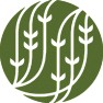 where can i buy first flush darjeelings? |  I live in Firenze and unfortunately Italia is not the country of tea...Quite...