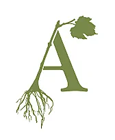 Growing grapes in the Northeast | next thread &raquo;