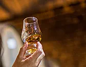revenue generated - how much? |  Anyone know how much money the Scotch industry makes from exports?   and how...