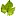 Watery wine from yard grapes? |  I crushed my yard grapes of several kinds (red, white, blue unknownvarieties,...