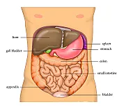 Any tea know to help liver? |  None, and all of them. I'm not sure what kind of liver problem you arehoping...