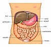 Any tea know to help liver? |  None, and all of them. I'm not sure what kind of liver problem you arehoping...