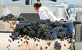 Does technology = better wine?  | &laquo; previous thread