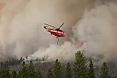 Wildfires  | next thread &raquo;