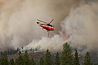 Wildfires  | next thread &raquo;
