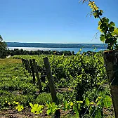 Finger Lakes recommendations? | &laquo; previous thread