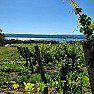 Finger Lakes recommendations? | next thread &raquo;