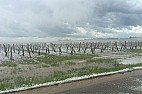 Bad news from Chablis and Beajolais lovers  | &laquo; previous thread
