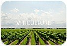 Warning: Long newbie post |  Hello group,I am a total newbie to making wine and growing grapes. And I'm...