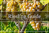 Re: TN: moderately priced Australian Riesling | &laquo; previous thread