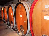 pure juice, and small quantities? |  I've now bottled my second year's Shiraz production, and it raises...