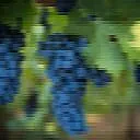 Wine Recipes |  Thanks all for the helpI am add collecting wine recipes from several sources...