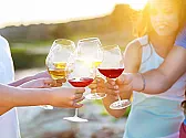grapevine nurseries |  Thank you for the info.  How does your Cabernet turn out?  This will make mylife...
