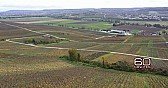 Climate change  | https://www.cbsnews.com/video/wine-vineyards-around-the-world-feel-the-impact-of-climate-change/