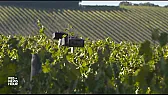 "You can thank Mozart for the taste of this wine"  | https://www.pbs.org/newshour/show/you-can-thank-mozart-for-the-taste-of-this-wine