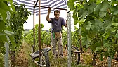 BBC 4 Tonight Wine | &laquo; previous thread