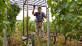 BBC 4 Tonight Wine |  I was pleasantly surprised. It was an excellent bit of TV and itshowed that...