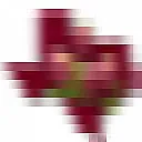 Grape recommendations in central Texas? |  Igor wrote"Does anybody have experience with Cynthiana (also called Norton)? It...