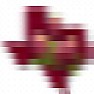 Grape recommendations in central Texas? |  Hi,I live outside Austin, TX. This winter/spring I want to plantgrapevines to...