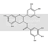 Does wine also have different types of astringency?  | next thread &raquo;