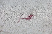 wine spills | next thread &raquo;