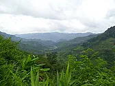 TN: 2005 Haiwan Lao Tong Zhi Beeng  | &laquo; previous thread