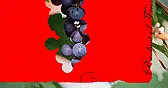 Enjoy Your Favorite Wine Before Climate Change Destroys It |  Extreme heat and droughts are making it harder to grow grapes in many ...