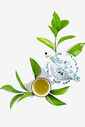 1st Flush 2008 darjeeling teas!  |  1st Flush Darjeeling teas 2008:      It has been a long time since I've been...