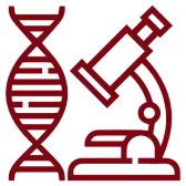 healthy wine drinkers... |  Folks,I think the overall point is that resveratrol mimicscaloric restriction....