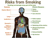Change already? |  In message , Steven Pampling  wroteThe smoking industry campaigned in a way that...