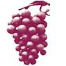 Wine web sites - your help and opinions please? |  Hi,I am trying to get a sample of opinions of people who really care aboutwine,...