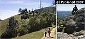[NYT] Hiking Napa | &laquo; previous thread