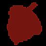 Kentucky oak barrels |  I've browsed the web and several wine shops sell Kentucky oak barrels....