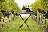 Healthiest types of wine  | &laquo; previous thread