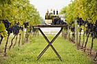 Healthiest types of wine  | &laquo; previous thread