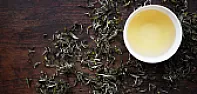 New tea website |  Yes it is available elsewhere, a quick search yielded several sourceswho make...