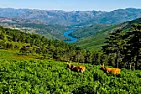 Good Wine Websites? |  "MagicDrinks" wrote What a load of bunkum - what is "wine extract"  - what is...