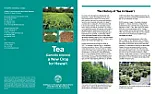 Tea in Hawaii  | &laquo; previous thread