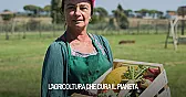 Biodynamic wines |  Hi Lawrence,There are two certifying agencies that I know of in France....